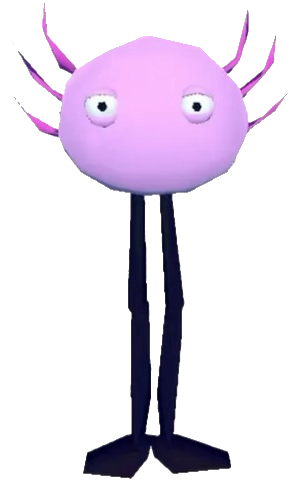 kinito from kinito pet